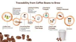 What Is Coffee Traceability And What Is Its Importance? – Ethiopian ...